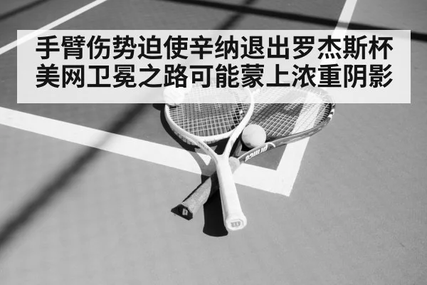 手臂伤势迫使辛纳退出罗杰斯杯 美网卫冕之路可能蒙上浓重阴影